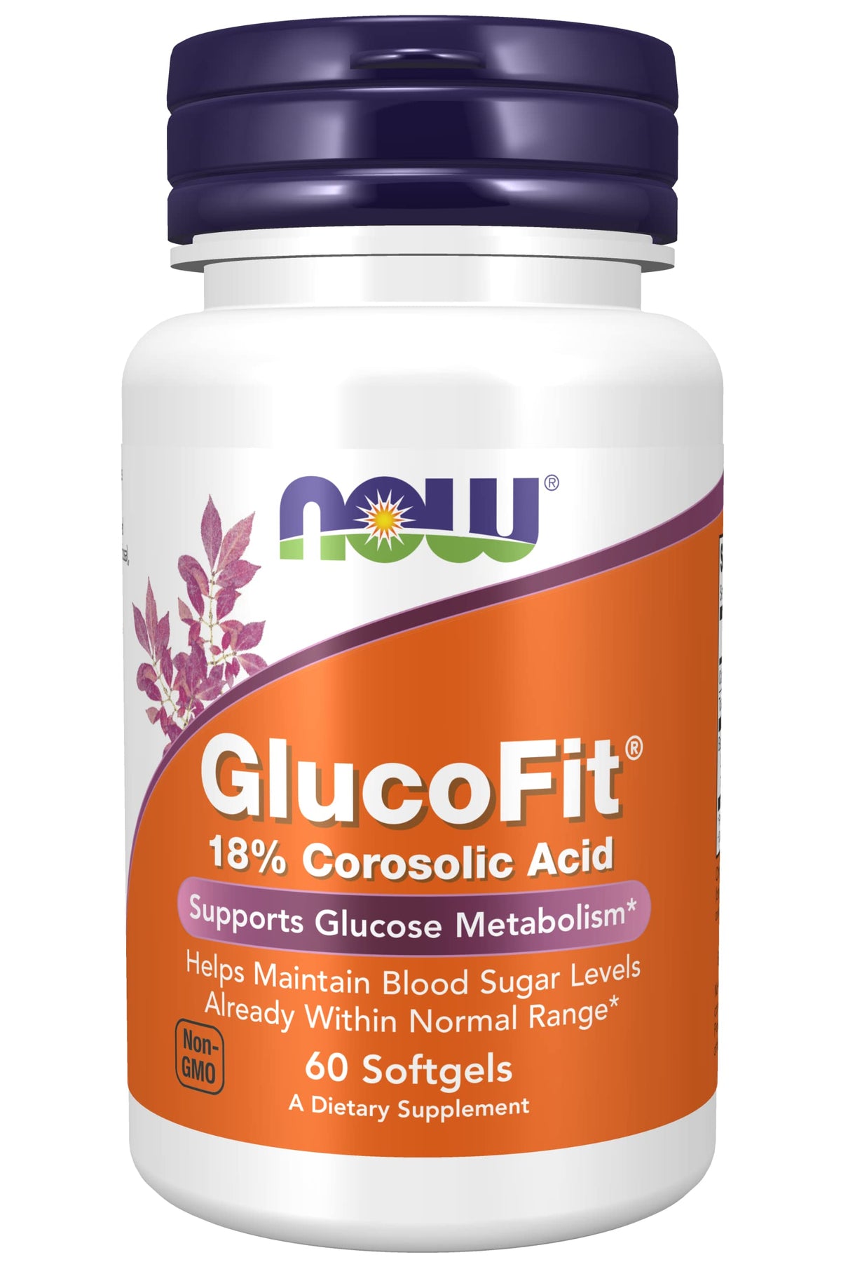 NOW Foods GlucoFit dietary supplement 91g front view