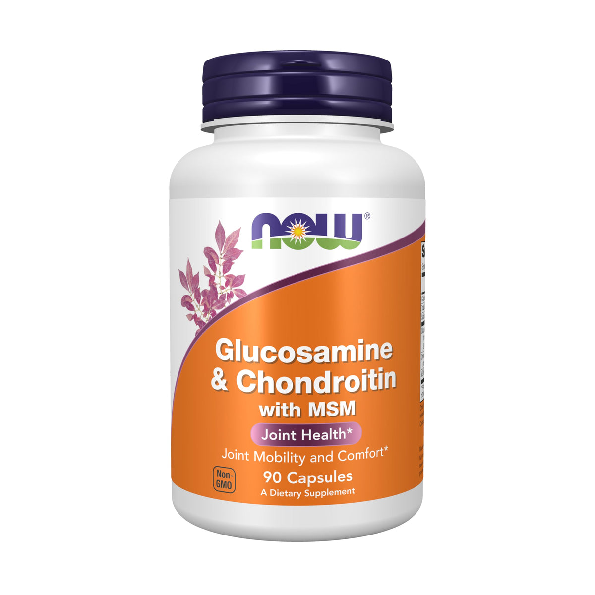NOW Foods Glucosamine & Chondroitin with MSM 160g capsule bottle front view