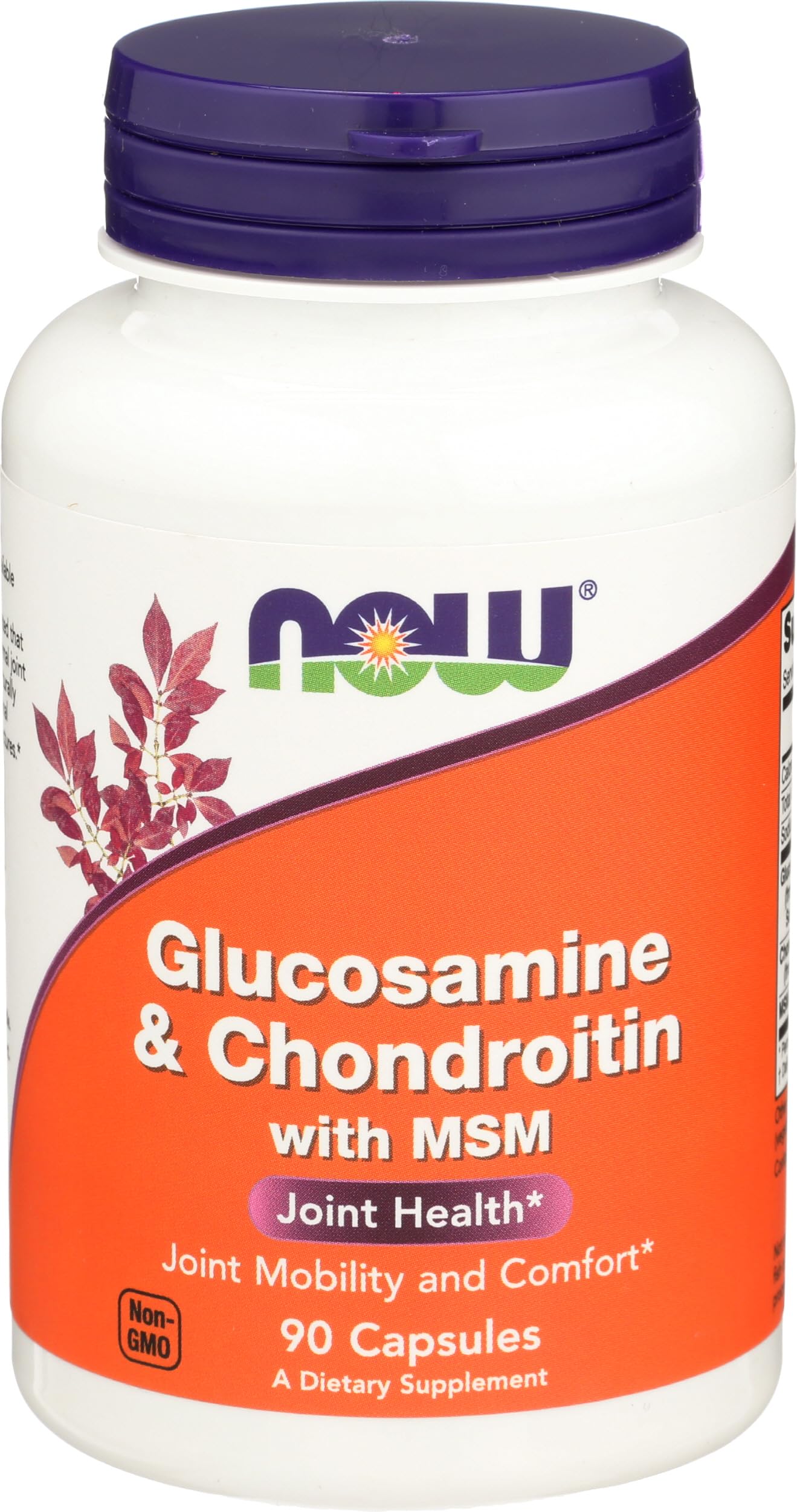 NOW Foods Glucosamine & Chondroitin with MSM 90 Capsules front view