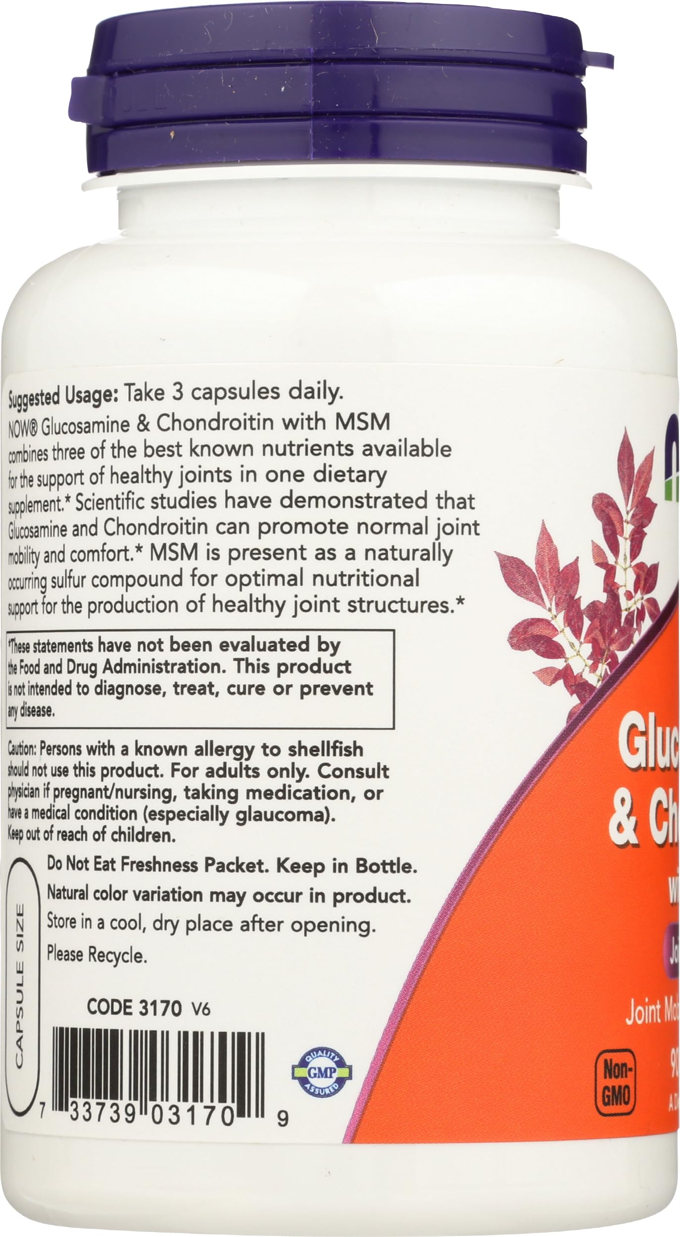 NOW Foods Glucosamine & Chondroitin with MSM bottle back view