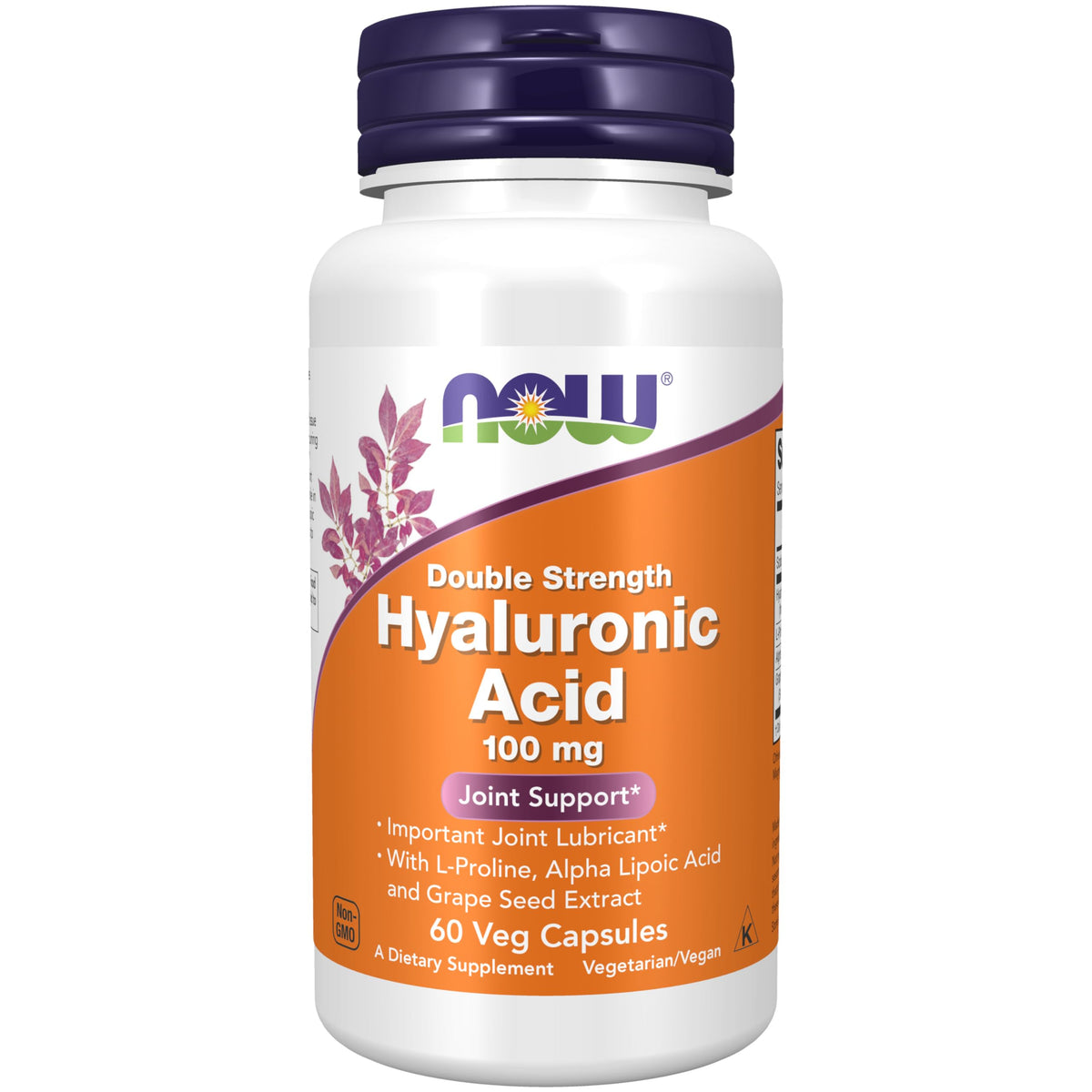 NOW Foods Hyaluronic Acid 100 mg veggie capsules front view