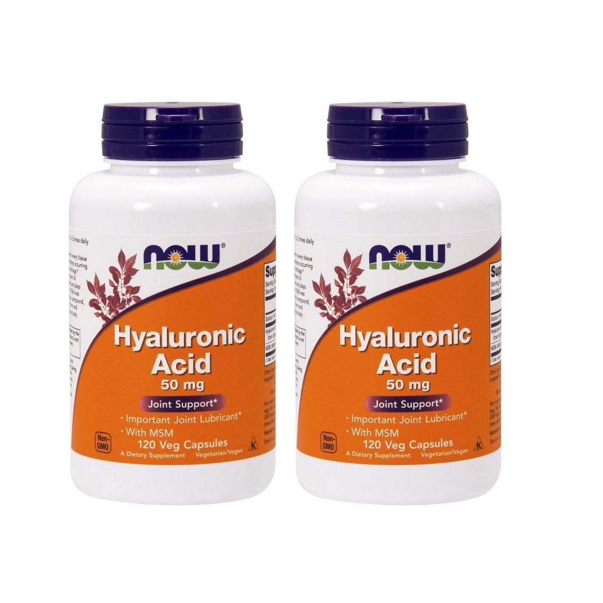 NOW Foods Hyaluronic Acid and MSM 240 capsules front view