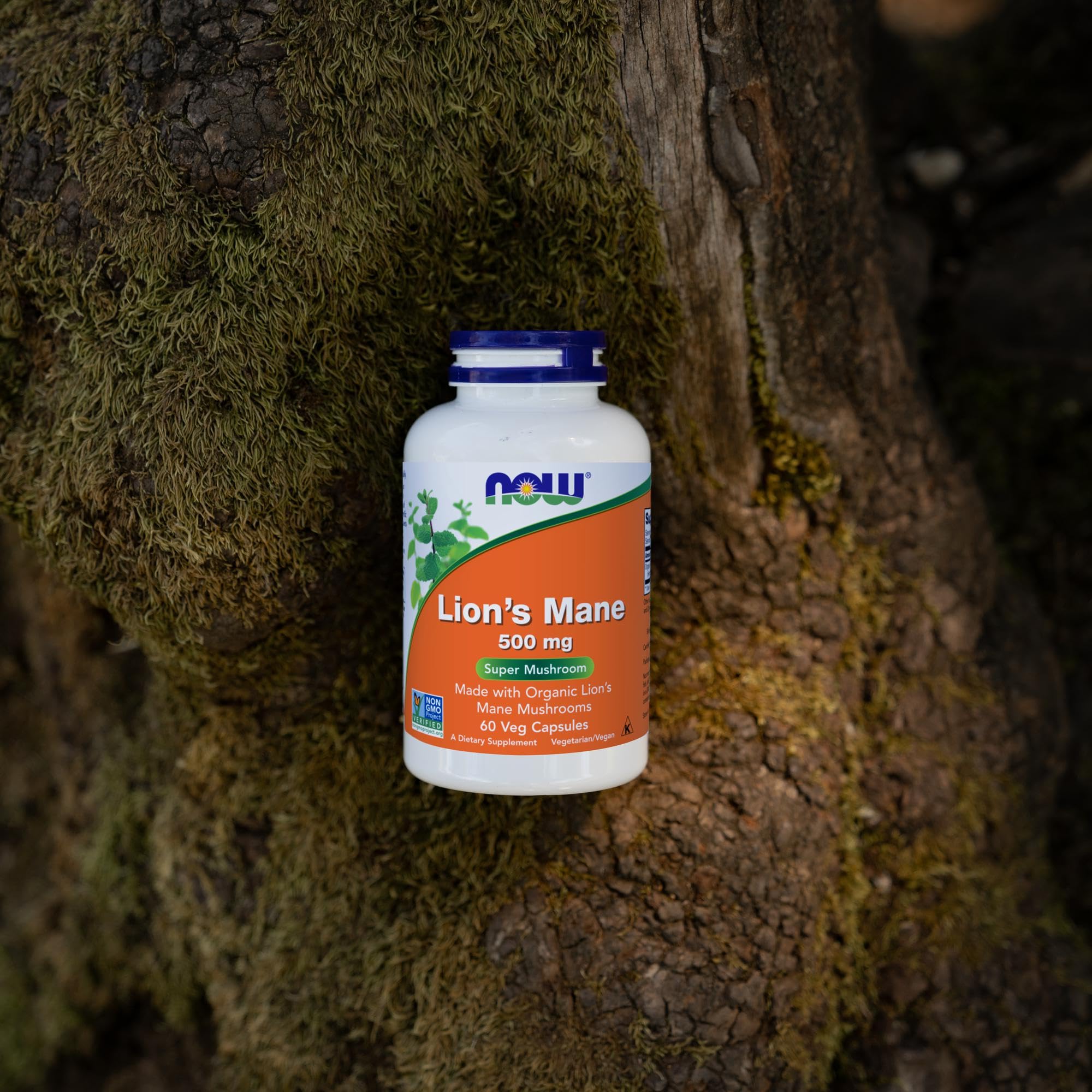 NOW Foods Lion's Mane Mushroom Supplement on a wooden table