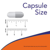 NOW Foods Olive Leaf Extract 159g back label