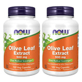 NOW Foods Olive Leaf Extract 159g front view