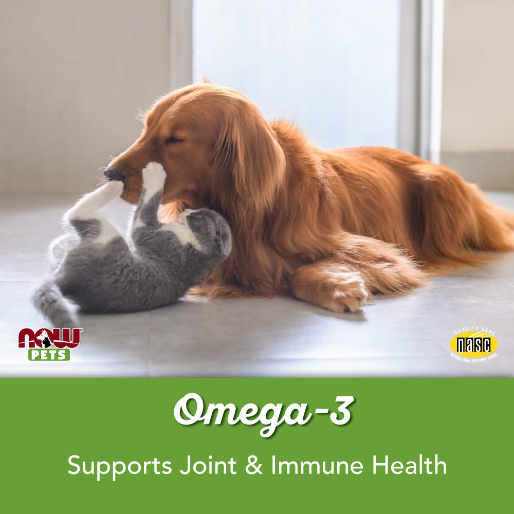 NOW Foods Omega-3 Mini Softgels 145g packaging