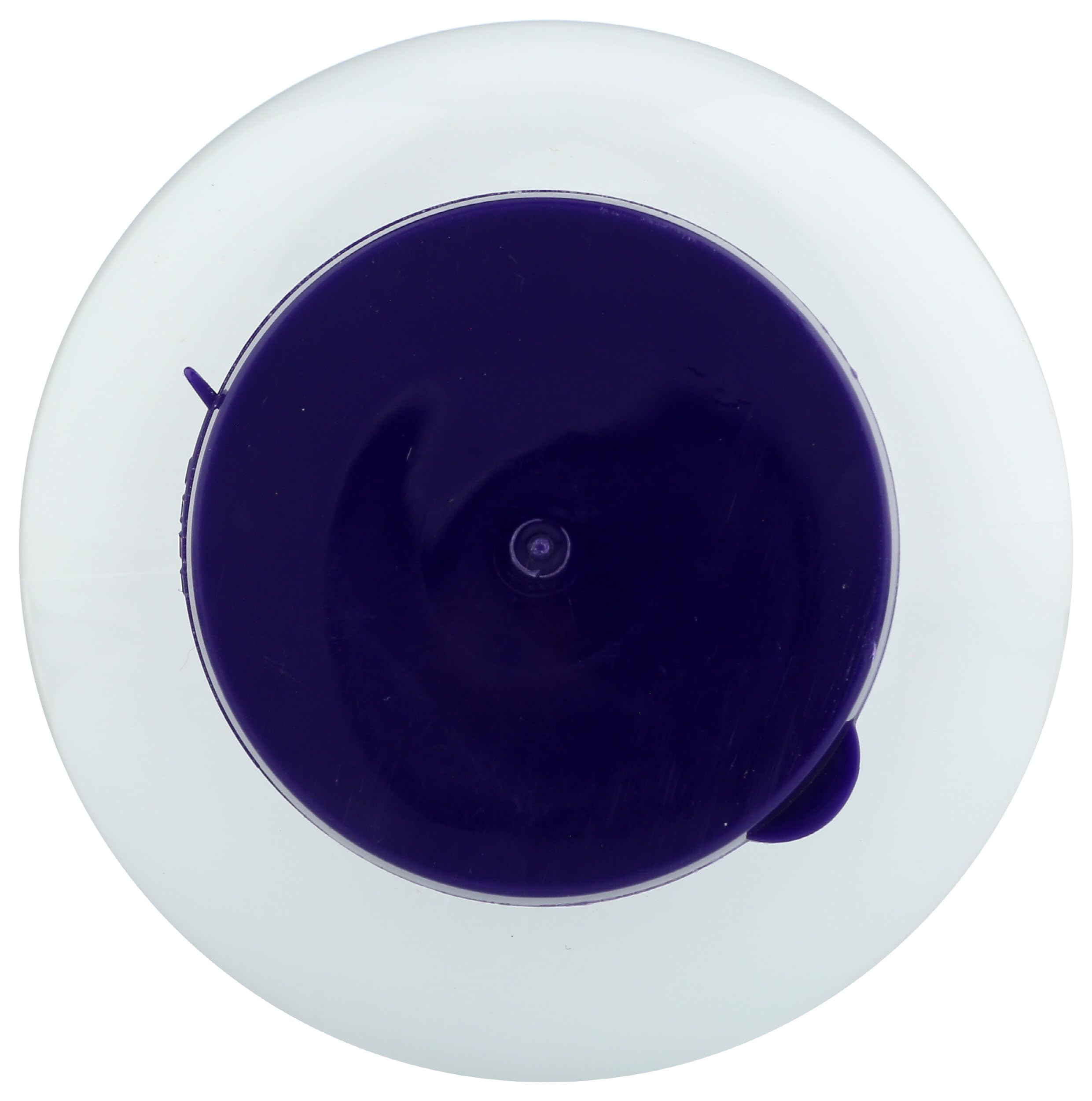 NOW Foods Organic Kelp Powder 200g on a kitchen counter