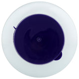 NOW Foods Organic Kelp Powder 200g on a kitchen counter
