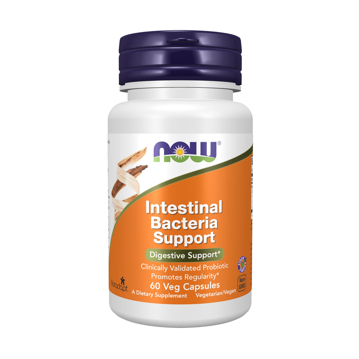 NOW Foods Probiotic Supplement 41g front view