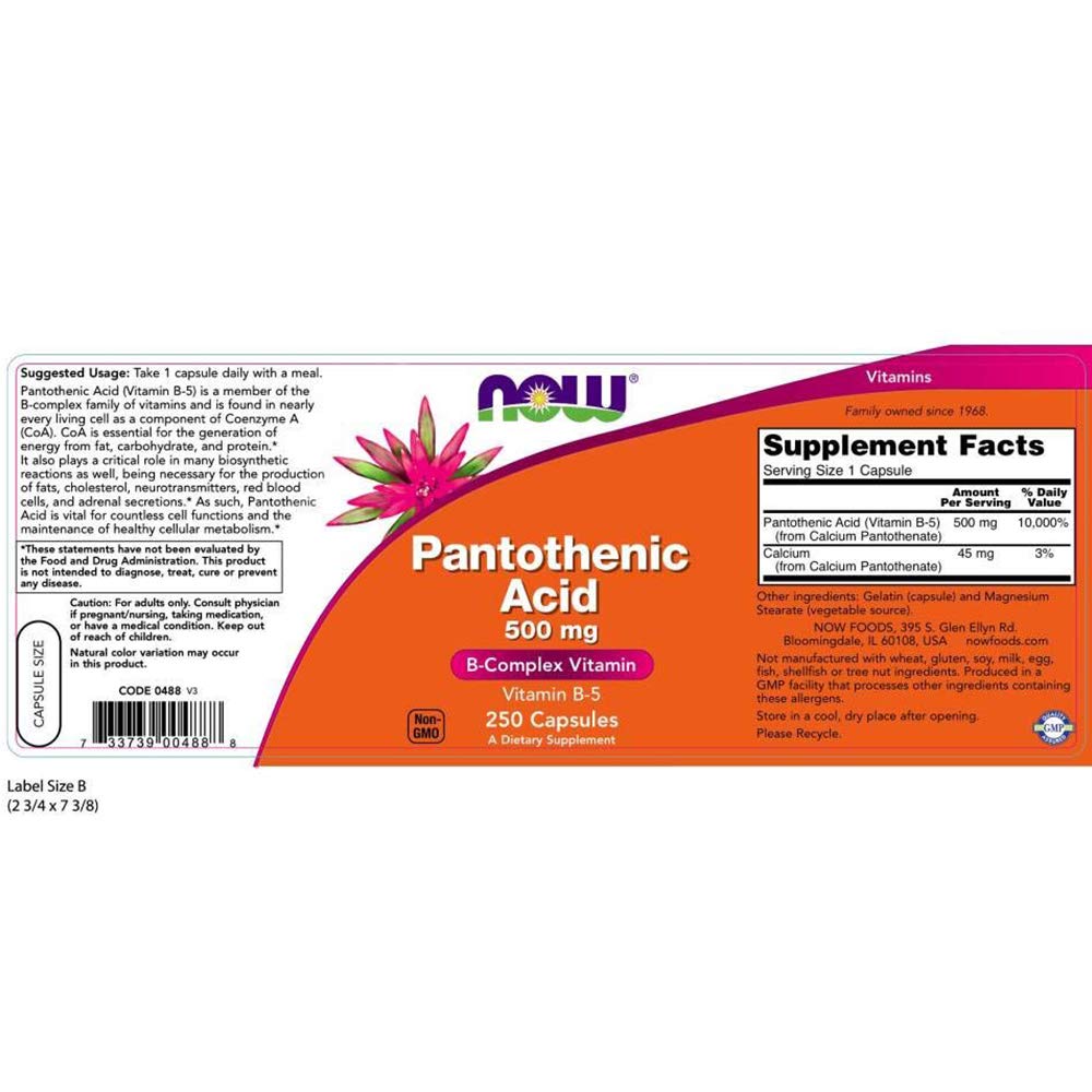 NOW Foods Vitamin B-5 Pantothenic Acid 481g Capsules