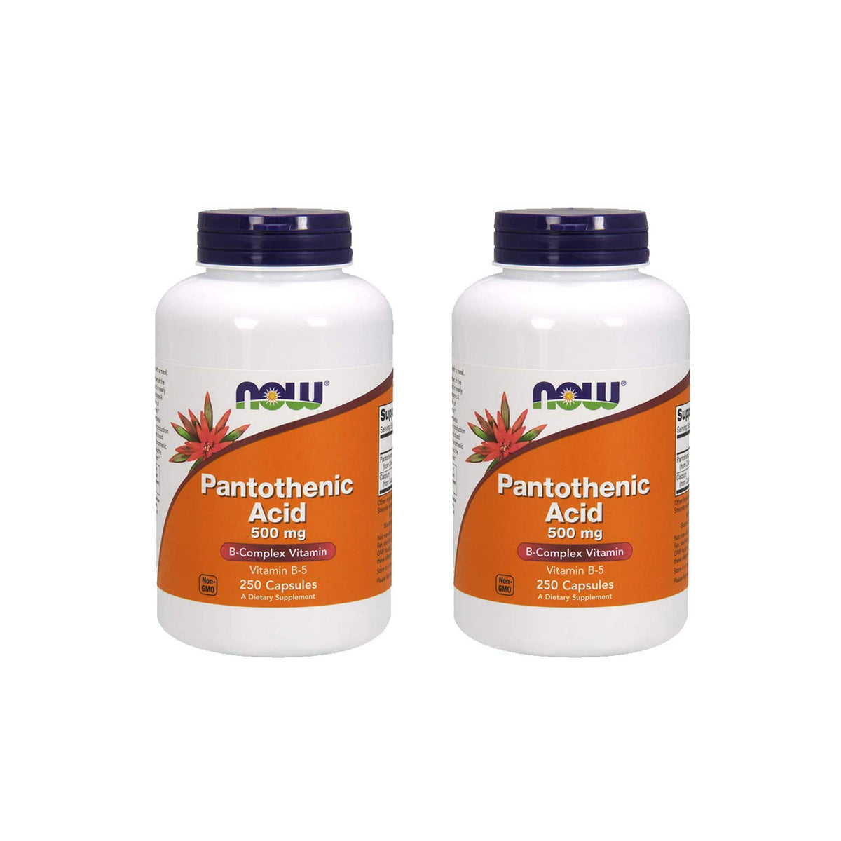 NOW Foods Vitamin B-5 Pantothenic Acid 481g capsules front view
