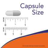 NOW Foods Vitamin K2 MenaQ7 MK-7 300 mcg 60 Veg Capsules capsule close-up
