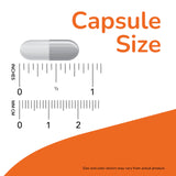 NOW L-Tryptophan 500 mg 120 Veg Capsules back view