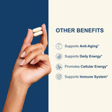 NUISM Resveratrol NAD+ Support Supplement dosage information
