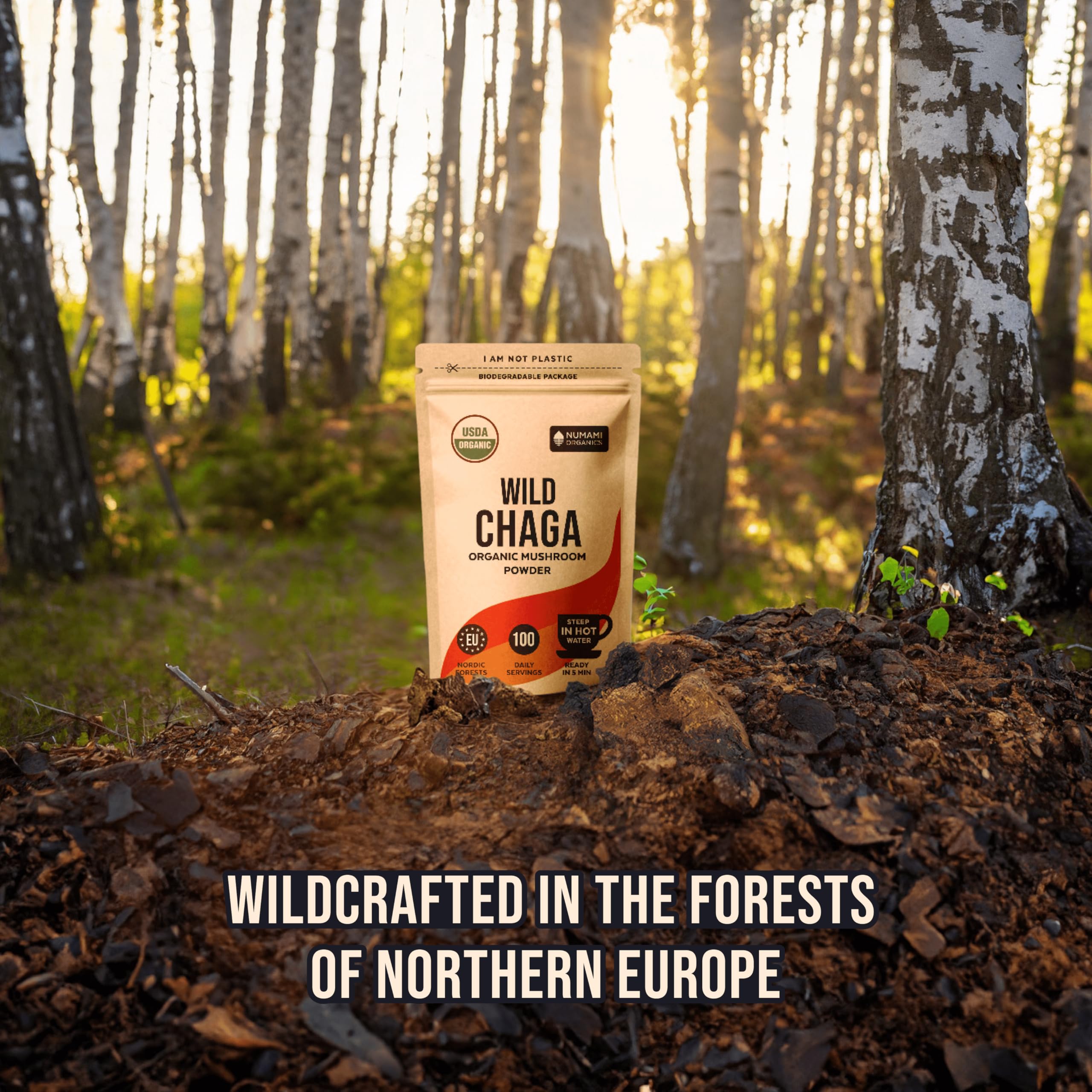 Numami Chaga Mushroom Powder 91g with biodegradable packaging