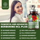 Number One Nutrition Berberine HCl Supplement 1200mg capsules close-up