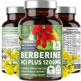 Number One Nutrition Berberine HCl Supplement 1200mg front view