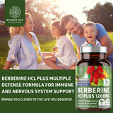 Number One Nutrition Berberine HCl Supplement 1200mg ingredients list