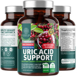 Number One Nutrition Milk Thistle Supplement front view with capsules