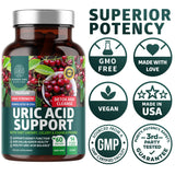 Number One Nutrition Milk Thistle Supplement with ingredients list on packaging
