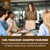 Number One Nutrition Mushroom Blend Capsules in hand