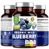 Number One Nutrition Organic Wild Blueberry Extract bottle front view