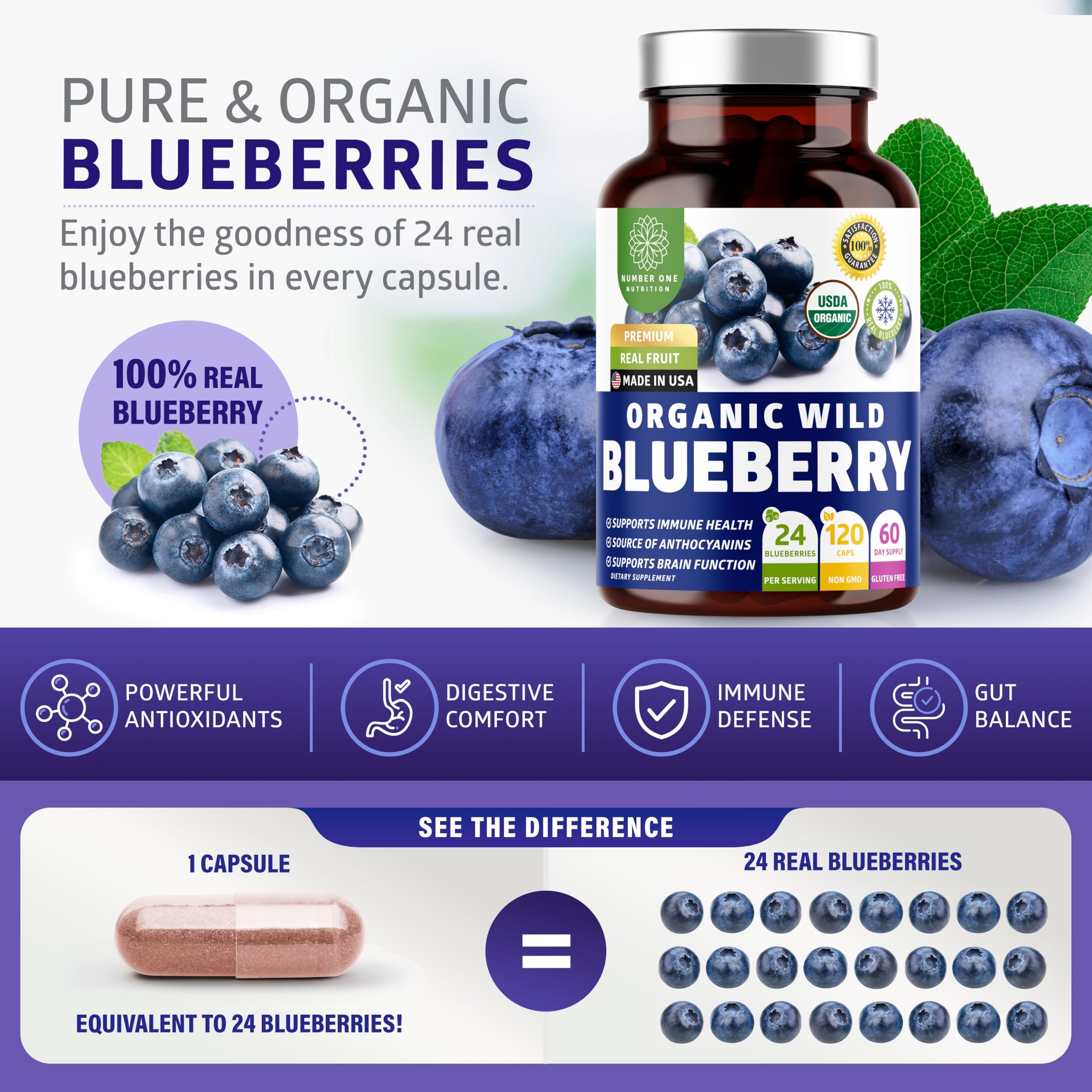 Number One Nutrition Organic Wild Blueberry Extract capsules close-up
