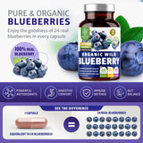 Number One Nutrition Organic Wild Blueberry Extract capsules close-up