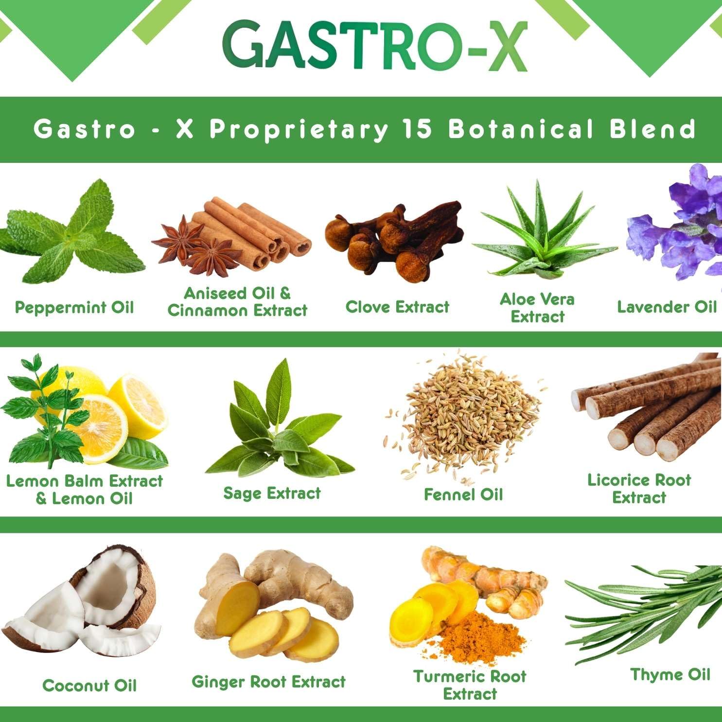 Nurse Harvey's Gastro-X packaging with ingredients listed
