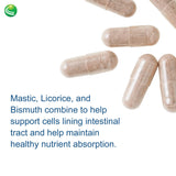 Nutra BioGenesis Gastric Support Complex 500mg DGL Capsules lifestyle scene