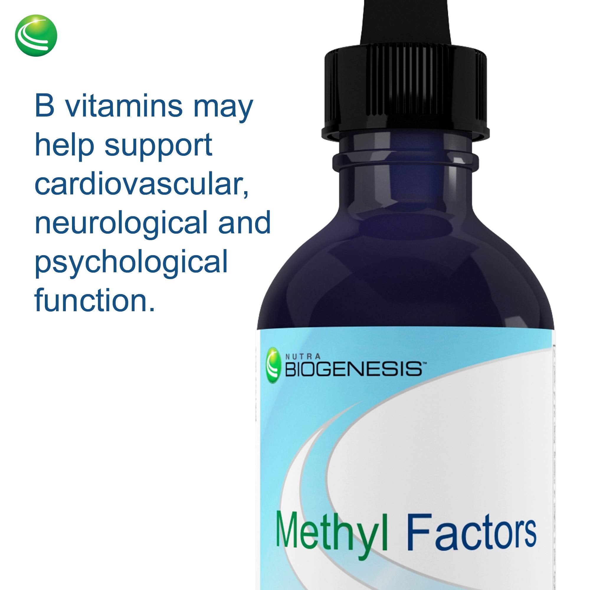 Nutra BioGenesis Methyl Factors Liquid Supplement ingredients list