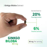 Nutra Nutrition Ginkgo Biloba Softgels in a natural setting