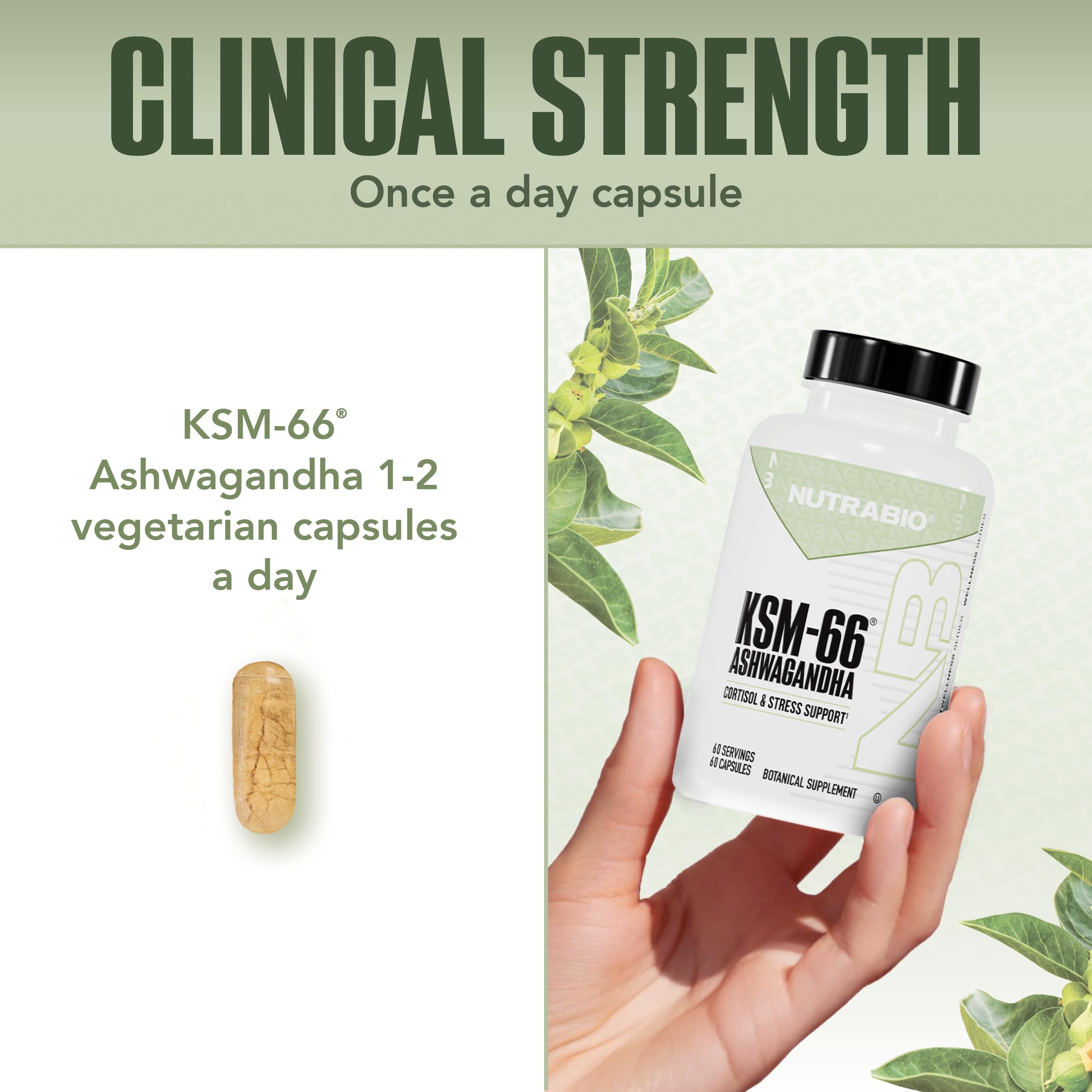 NutraBio Ashwagandha capsules on a wooden surface