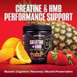 NutraBio Creatine HMB Powder with scoop on a gym bench