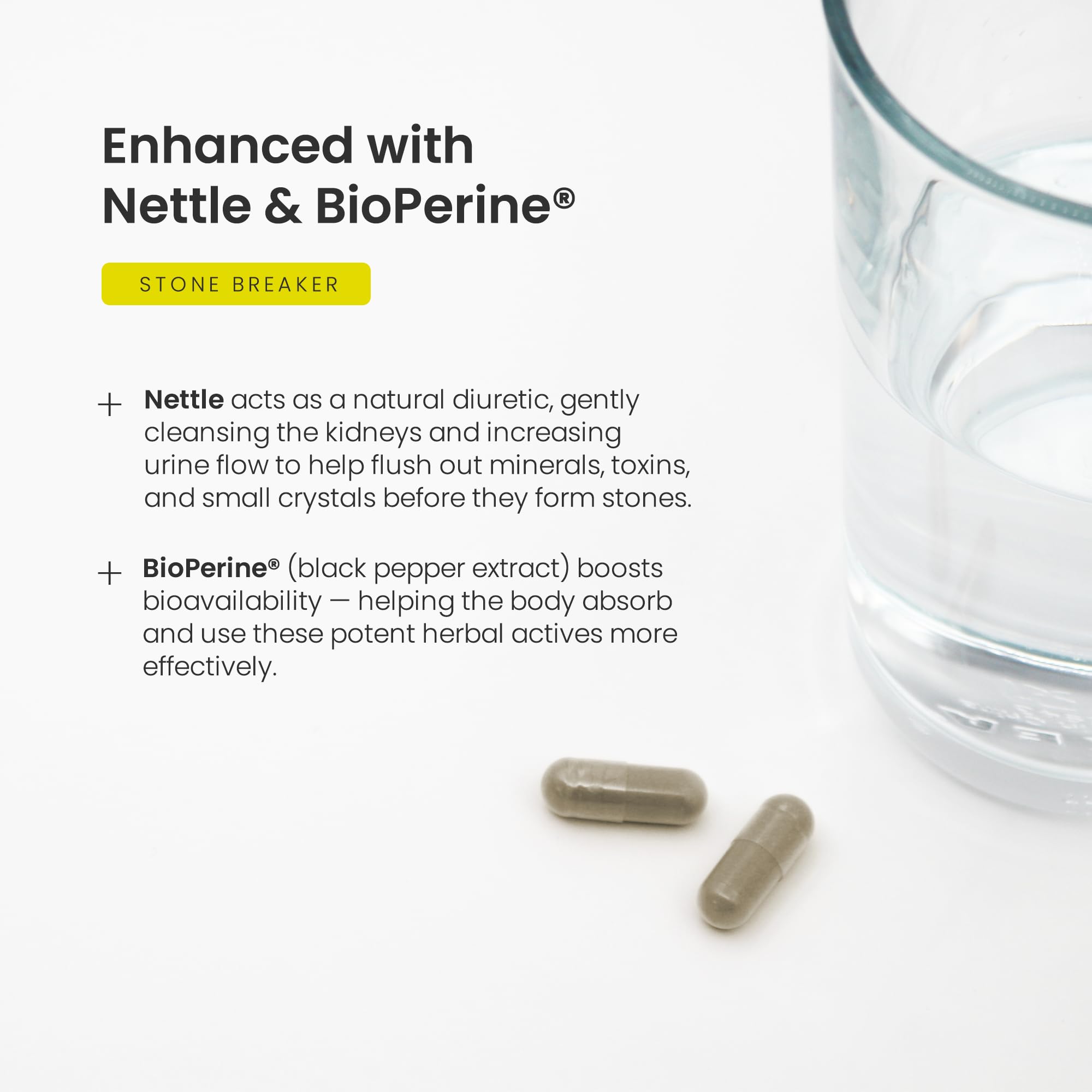 NutraChamps Chanca Piedra capsules in a hand