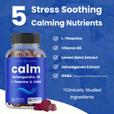 NutraChamps daily wellness Gummies close-up of gummies