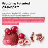 NutraChamps Kidney Cleanse 22-in-1 Herbal Supplement side view