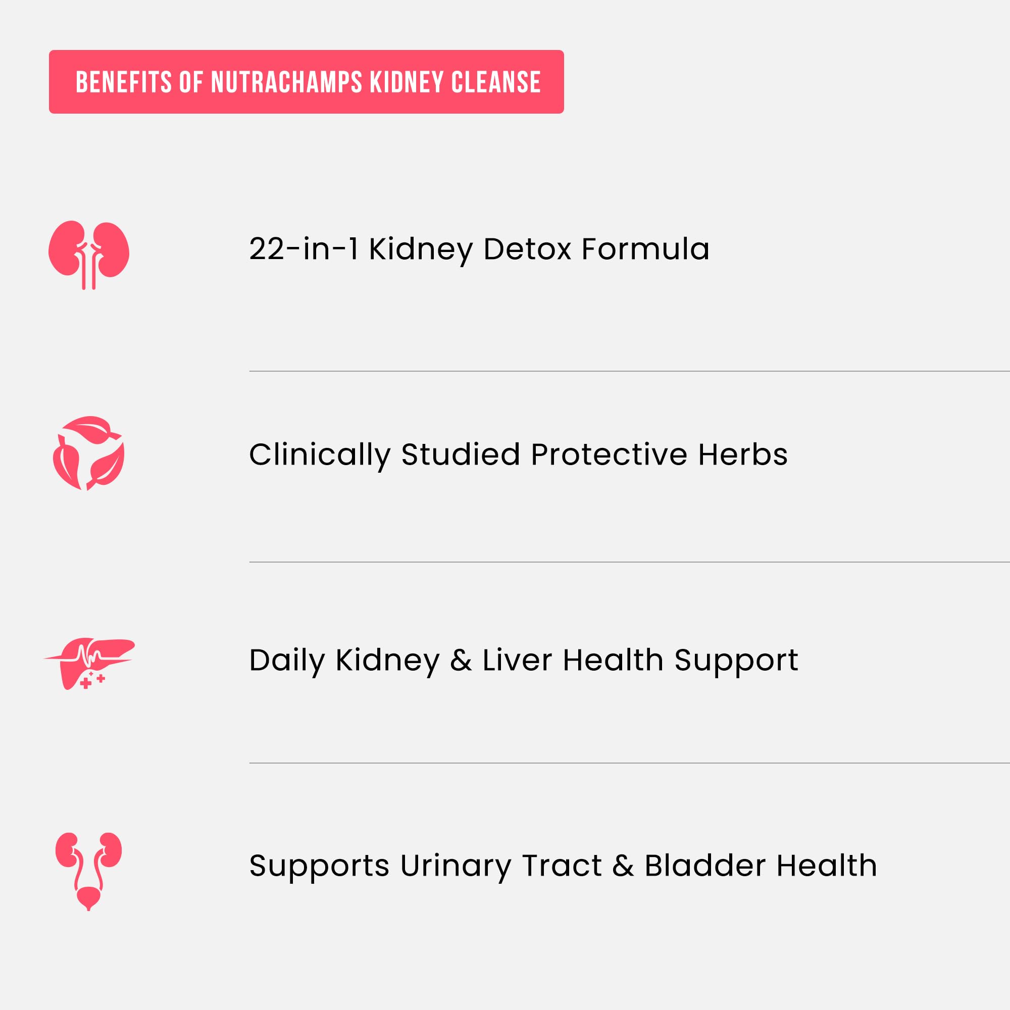 NutraChamps Kidney Cleanse 22-in-1 Herbal Supplement with capsules