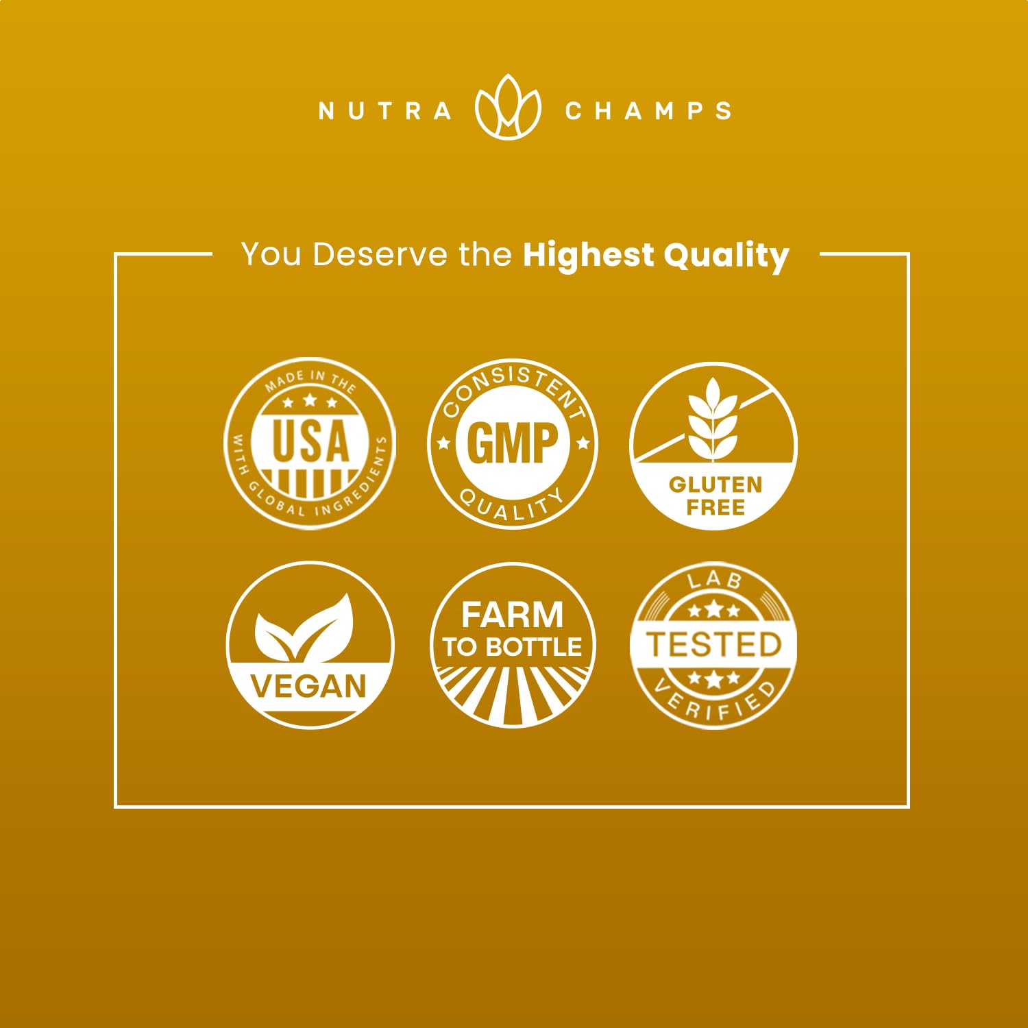 NutraChamps Korean Red Ginseng Extract in a lifestyle setting