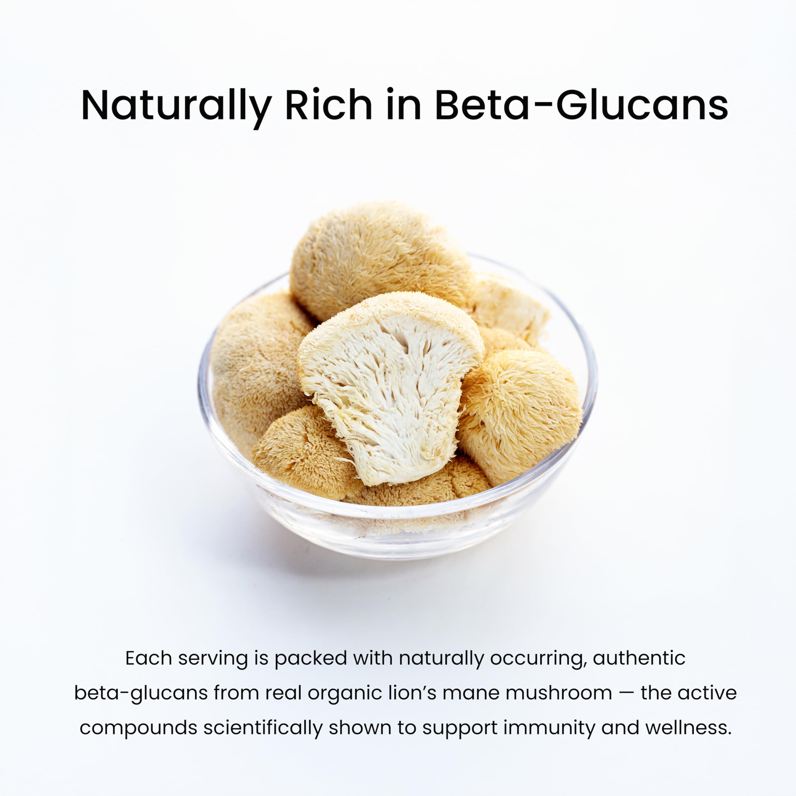 NutraChamps Lion’s Mane Mushroom Extract 10:1 liquid drops side view
