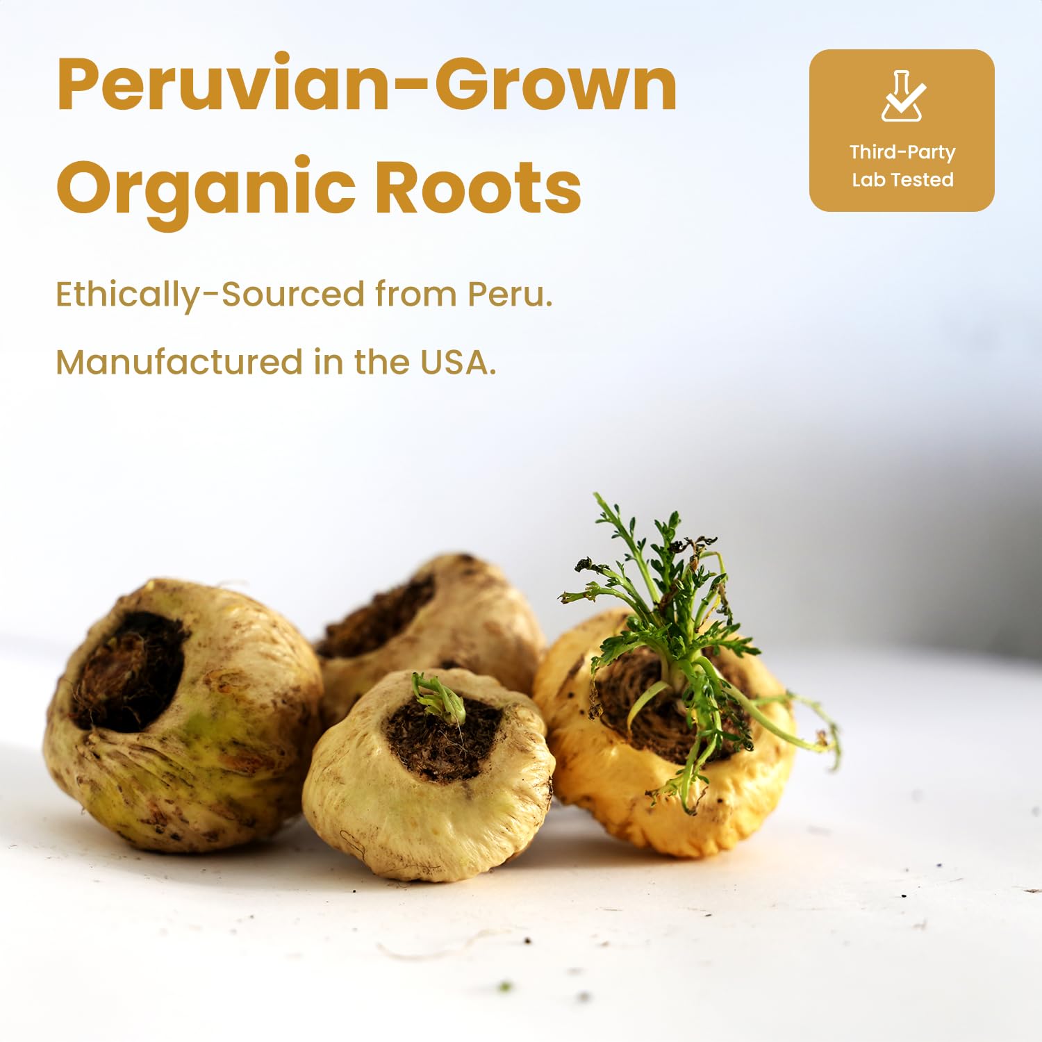NutraChamps Organic Maca Capsules showing organic ingredients