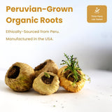 NutraChamps Organic Maca Capsules showing organic ingredients