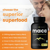 NutraChamps Organic Maca Capsules with black, red, and yellow Peruvian root powder