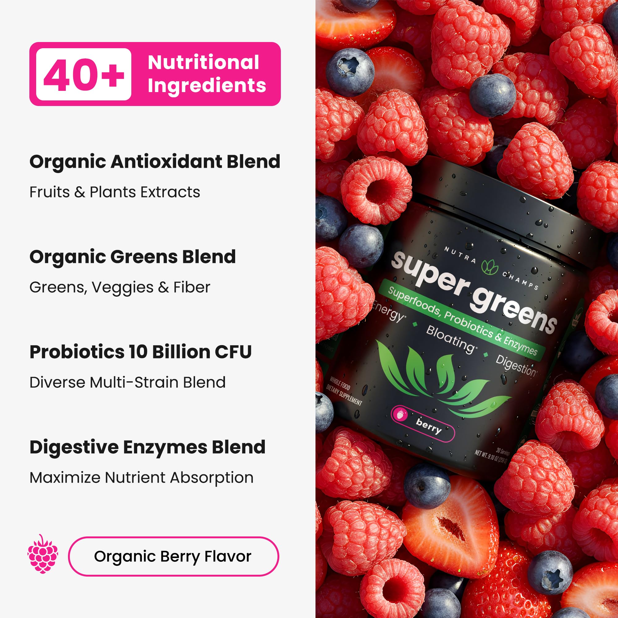 NutraChamps Super Greens Powder ingredients list on packaging
