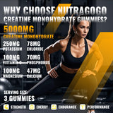 NUTRAGOGO Creatine Monohydrate Gummies nutritional information