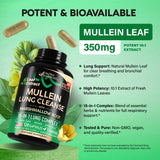 NUTRAHARMONY Mullein Capsules 10:1 Extract 350mg bottle with label