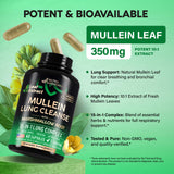 NUTRAHARMONY Mullein Leaf Extract bottle with capsules