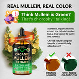 NUTRAHARMONY Organic Mullein Drops in lifestyle setting