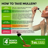 NUTRAHARMONY Organic Mullein Drops ingredients list