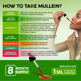 NUTRAHARMONY Organic Mullein Drops with herbal background